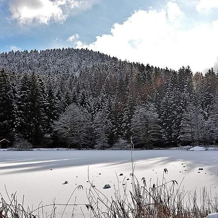 Le Petit Vosgien Apartment Gerardmer Luaran gambar