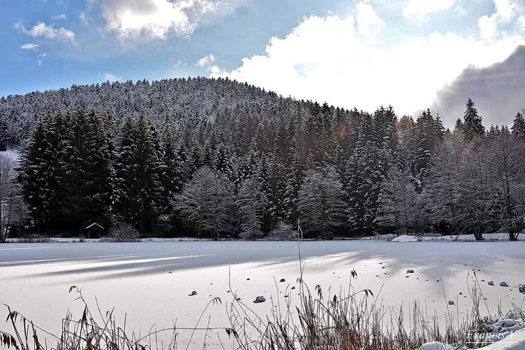 Le Petit Vosgien Apartment Gerardmer Luaran gambar