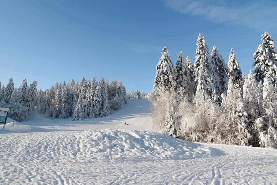 Le Petit Vosgien Apartment Gerardmer Luaran gambar