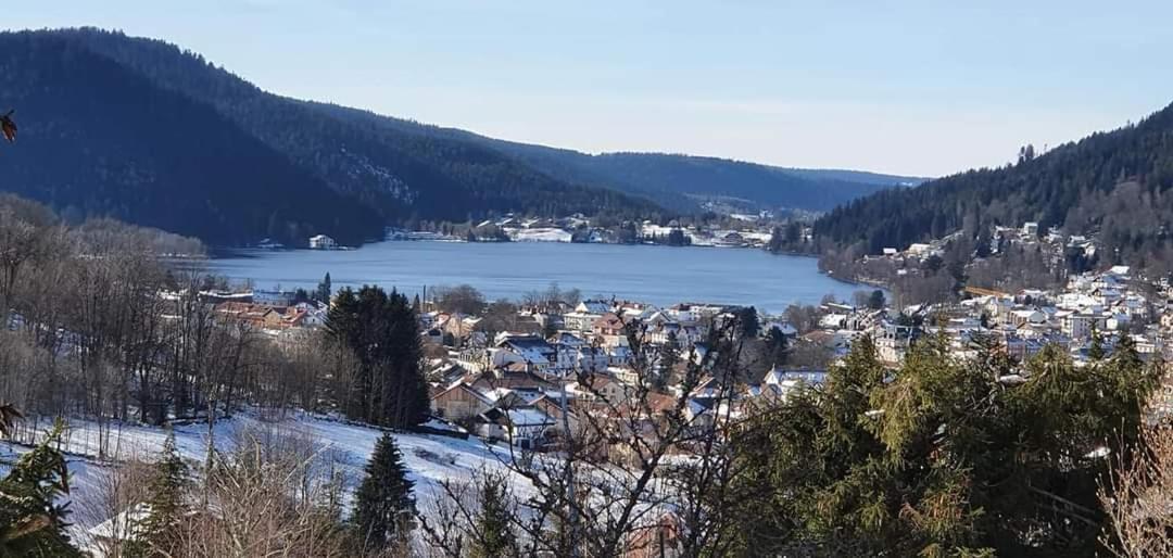 Le Petit Vosgien Apartment Gerardmer Luaran gambar